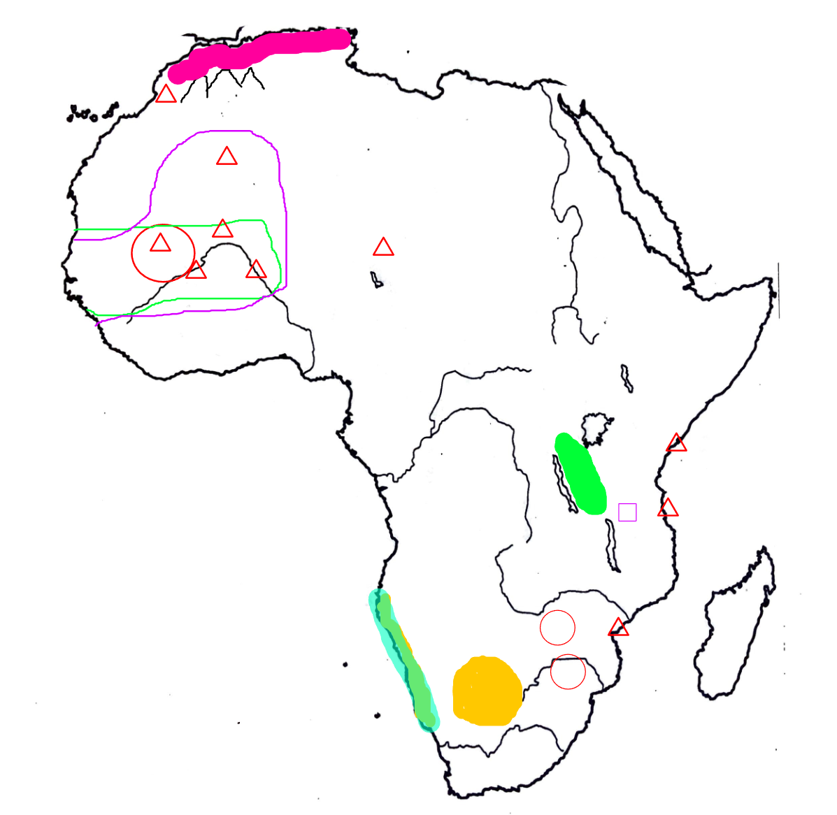 <p>That vertical desert on the West coast of Southern Africa</p>