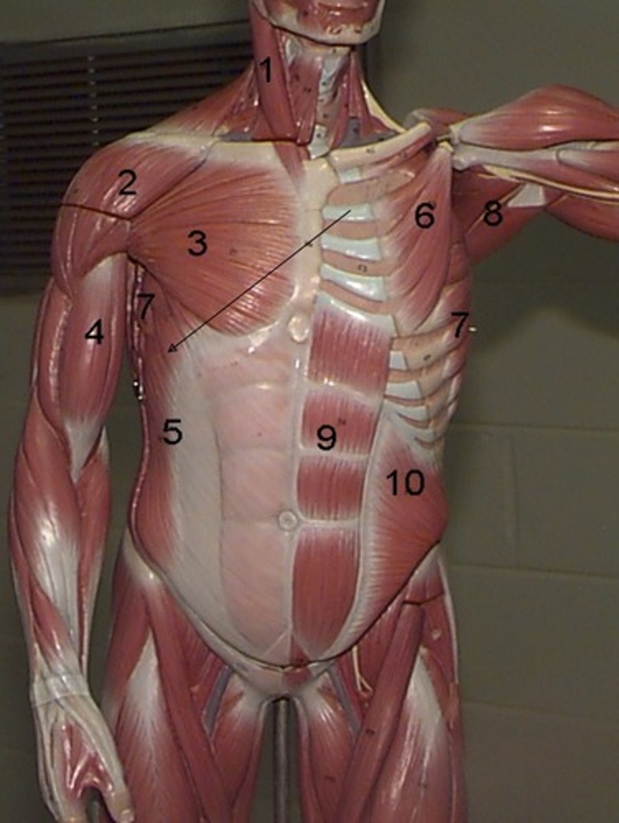 <p>3-</p>