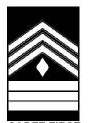 Cadet first sergeant 