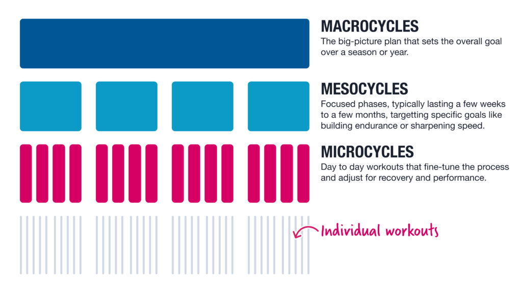 <p>allows you to create hard training periods and some easier periods to facilitate recovery</p>