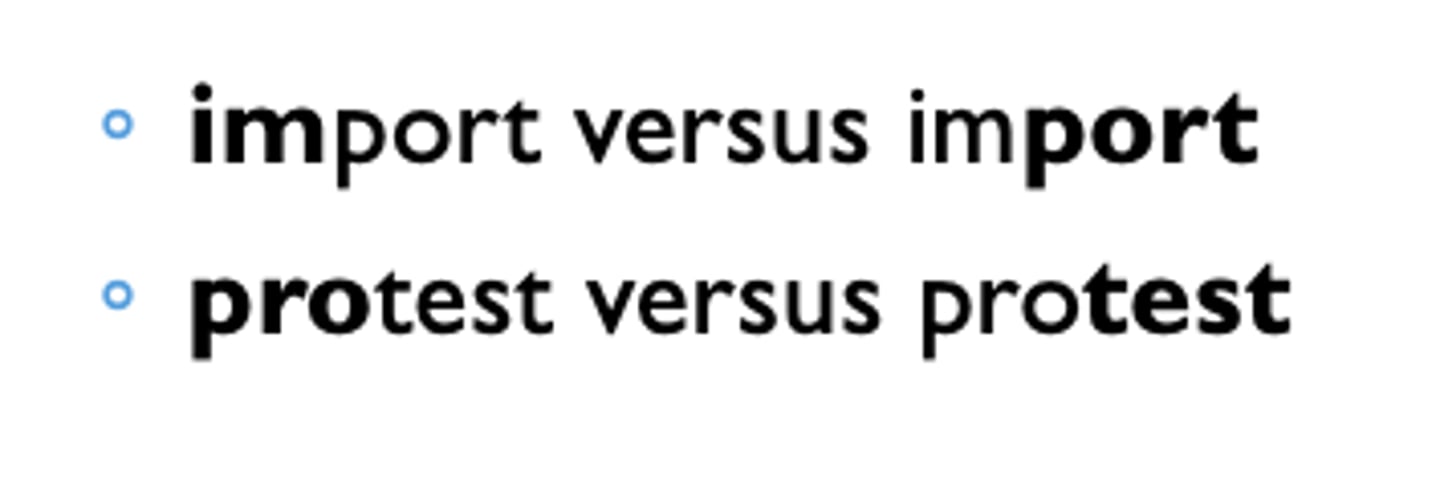 <p>the degree of emphasis on individual syllables within words</p>