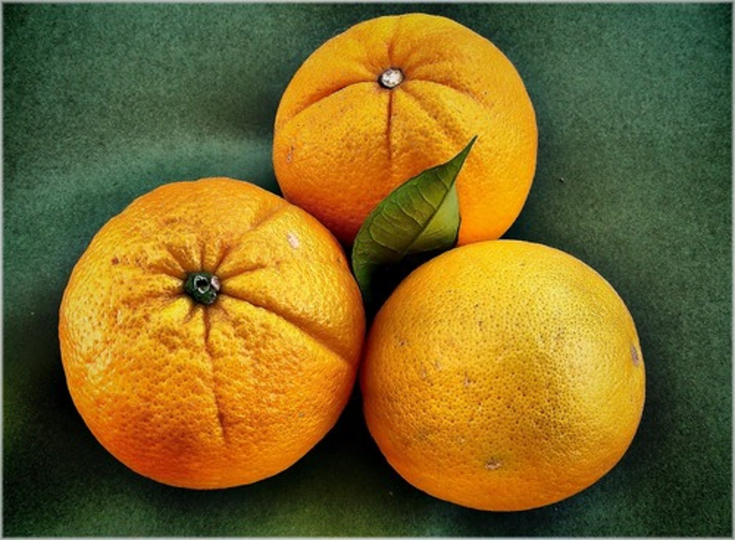 <p>orange</p>
