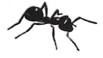 <p>ఇది ఏమిటి?</p>