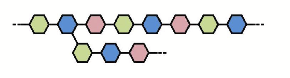 <p>Polysaccharides made from two or more kinds of sugar subunits.</p>