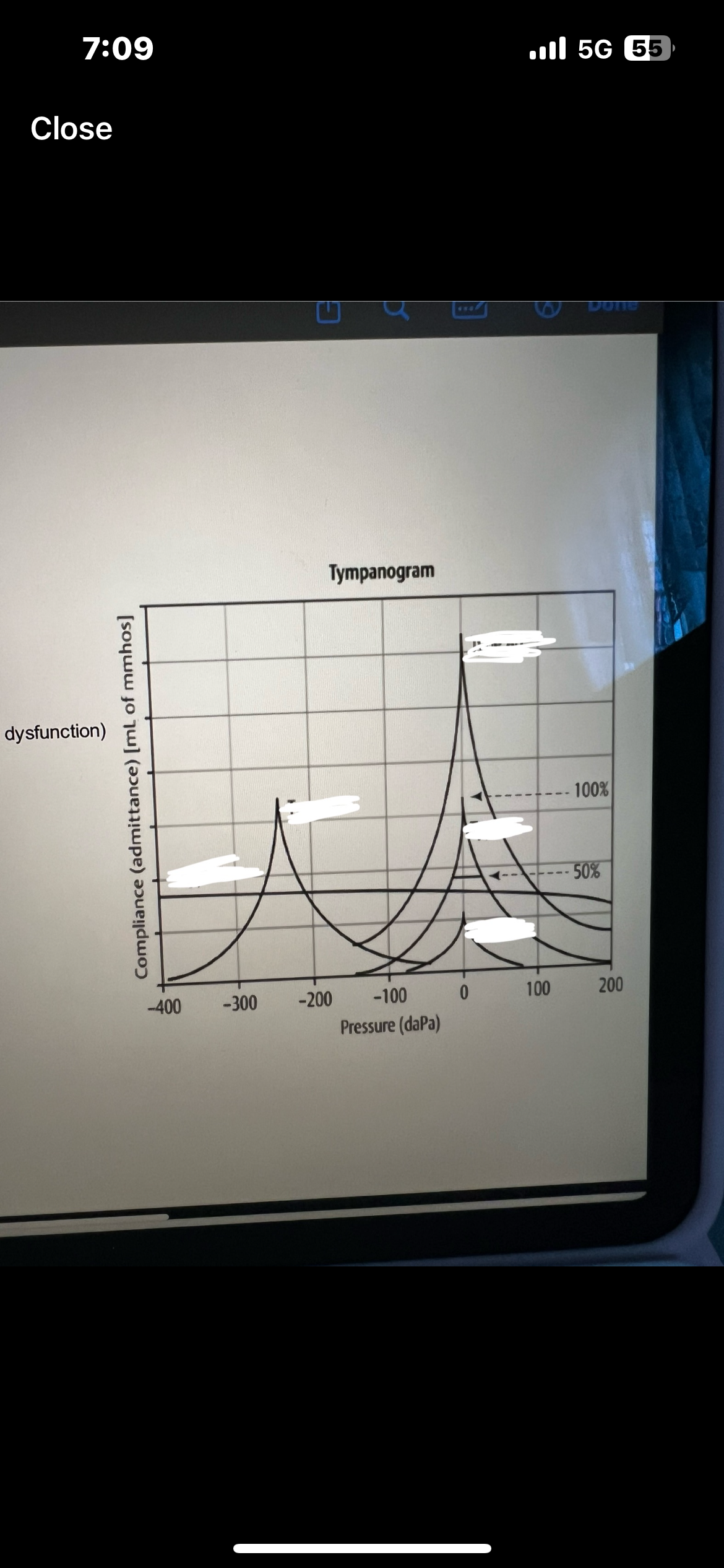 term image