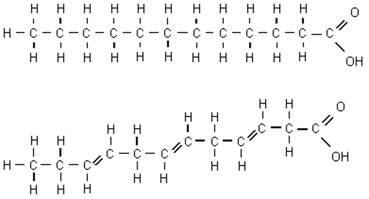 <p>Top = Saturated Fatty Acid</p><p>Bottom = Unsaturated Fatty Acid</p>