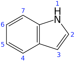 Have pyrole and benzene ring 
