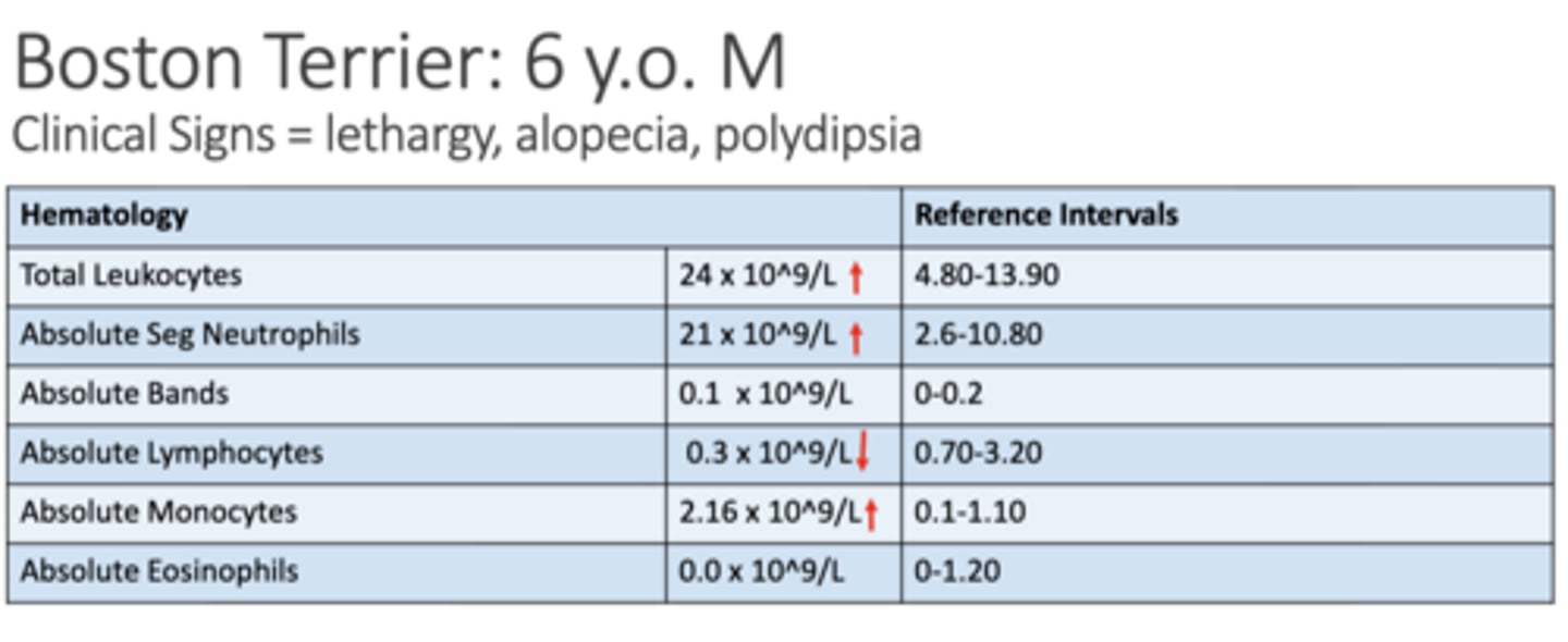 <p>Describe the values on this CBC</p>