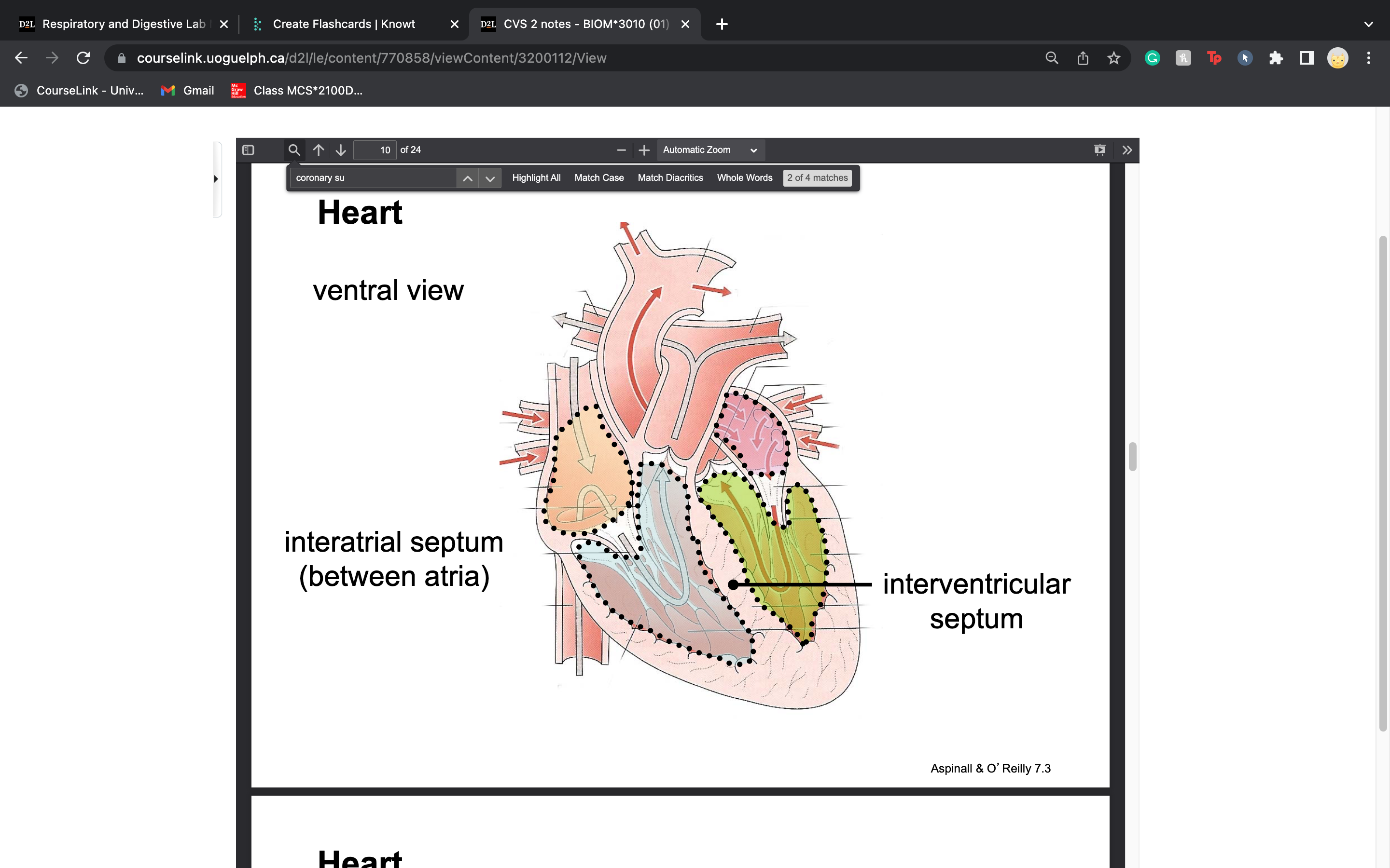 knowt flashcard image