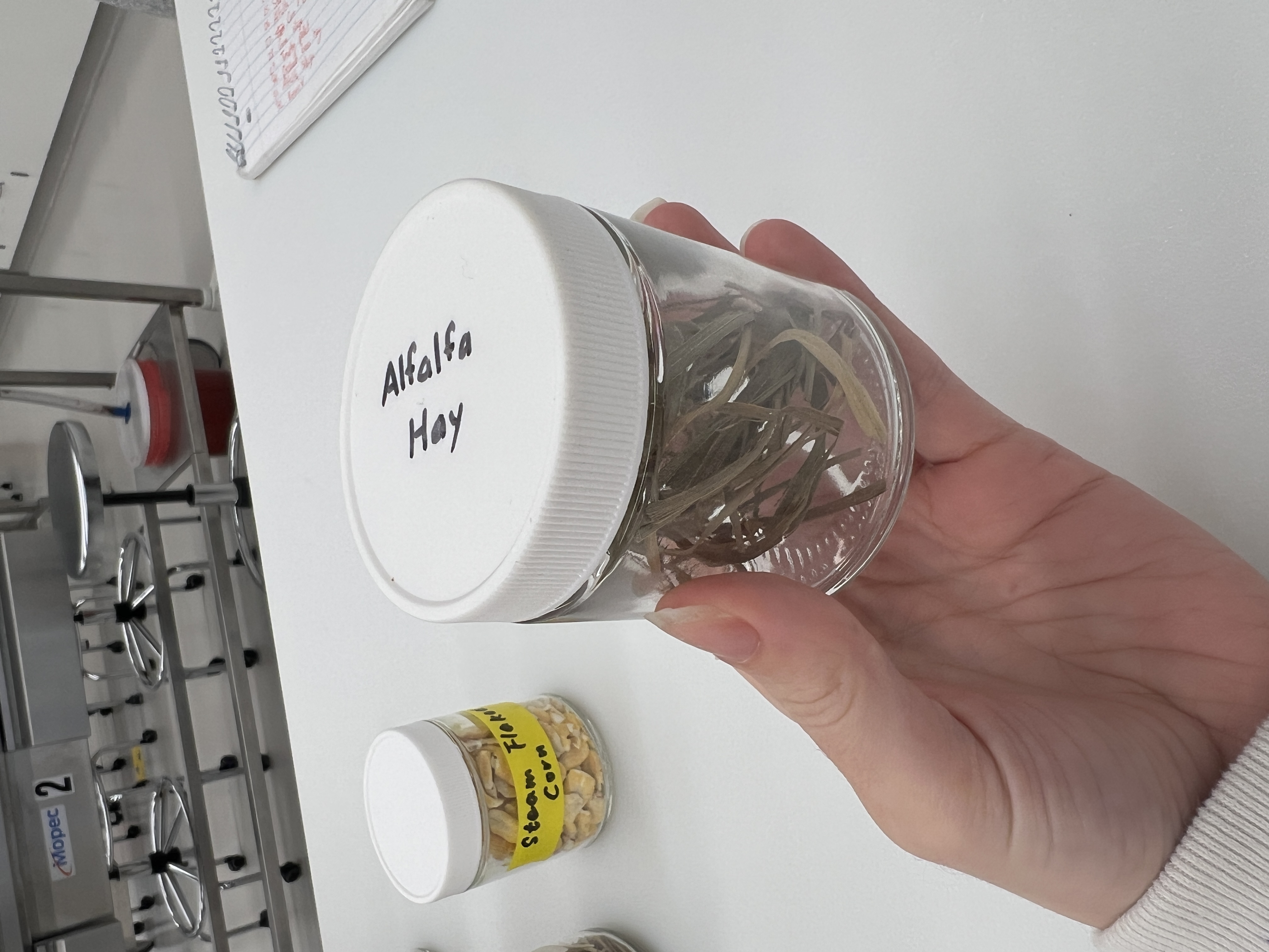 <ul><li><p>IFN # and category: 1 dry roughage</p></li><li><p>AAFCO category: roughage product</p></li><li><p>appearance: green hay, smells sweet</p></li></ul><p></p>