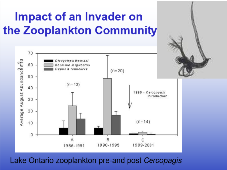 <p><span style="line-height: 20.925px;">Predator introduced, zooplankton drops down</span></p>