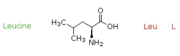 <p>Leu, L</p>