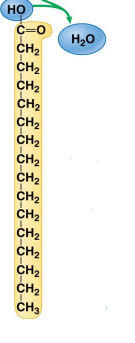 <p>what is this?</p>