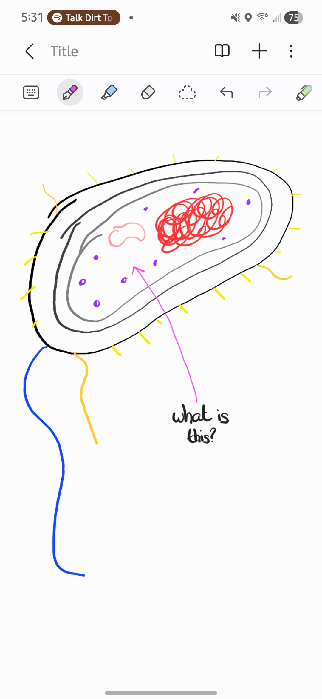 <p>What is this?</p>