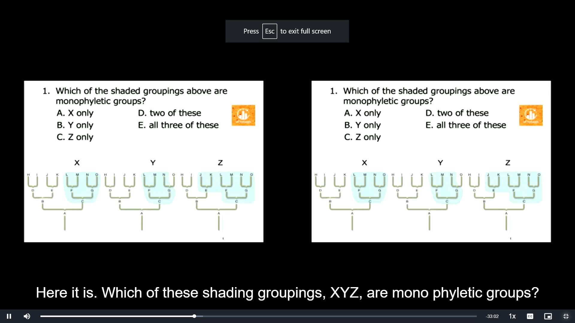 \
Which of the shaded groupings above are monophyletic groups?

\
A. X only

B. Y only

C. Z only

D. two of these

E. all three of these