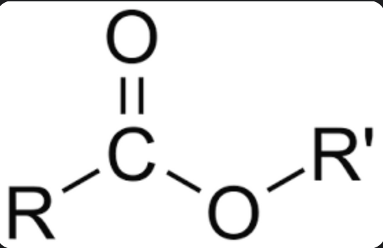 <ul><li><p>first count carbon chain in R’, end in ”-yl”</p></li><li><p>second count carbons in R, end in “-oate”</p></li></ul>
