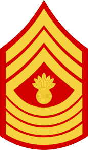 <p>E-9</p>