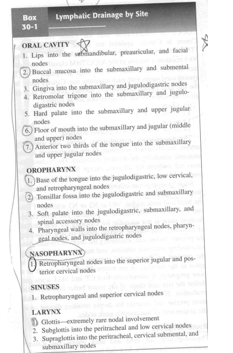 knowt flashcard image
