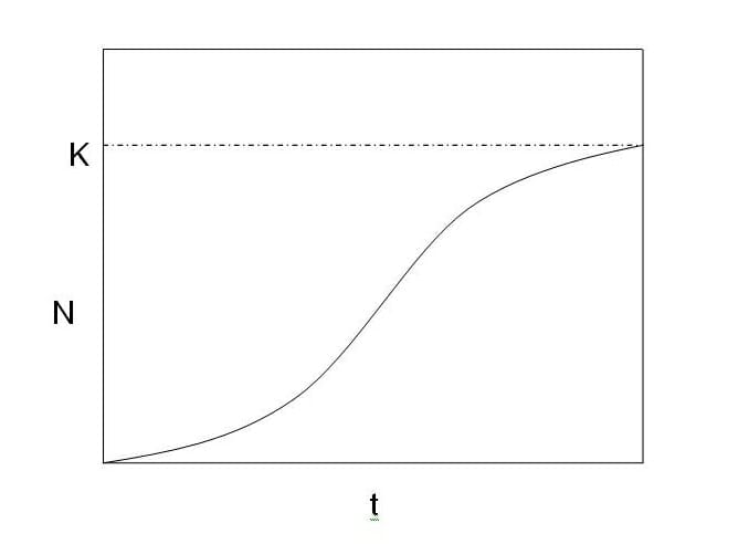 <p>carrying capacity (K)</p>