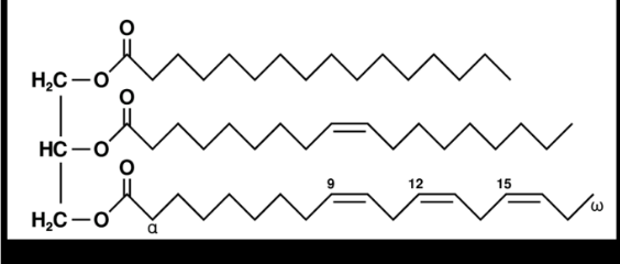 <p>what are the identities of the fatty acids in this lipid?</p>