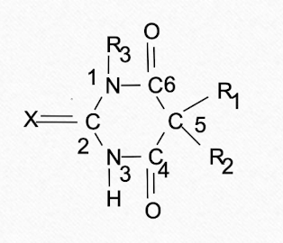 <ol><li><p>oxybarbituates (x = oxygen at C<sub>2</sub>)</p></li><li><p>thiobarbituates (x = sulfur at C<sub>2</sub>)</p></li></ol><p></p>