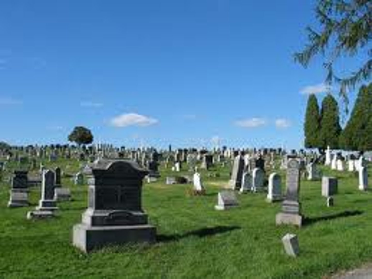 <p>cemetery</p>