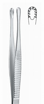 <p>Russian tissue forceps</p>