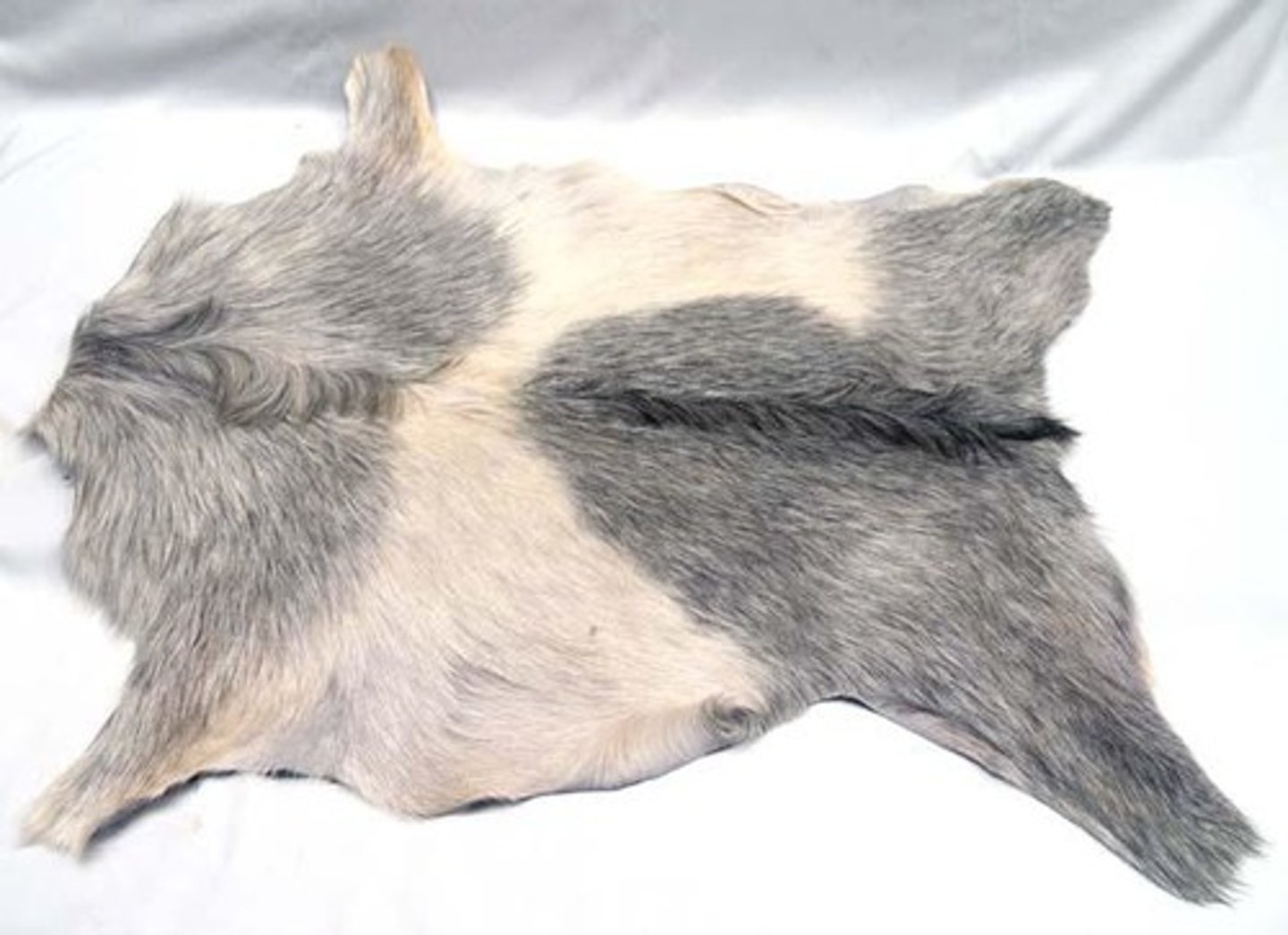 <p>pí/leather, skin</p>