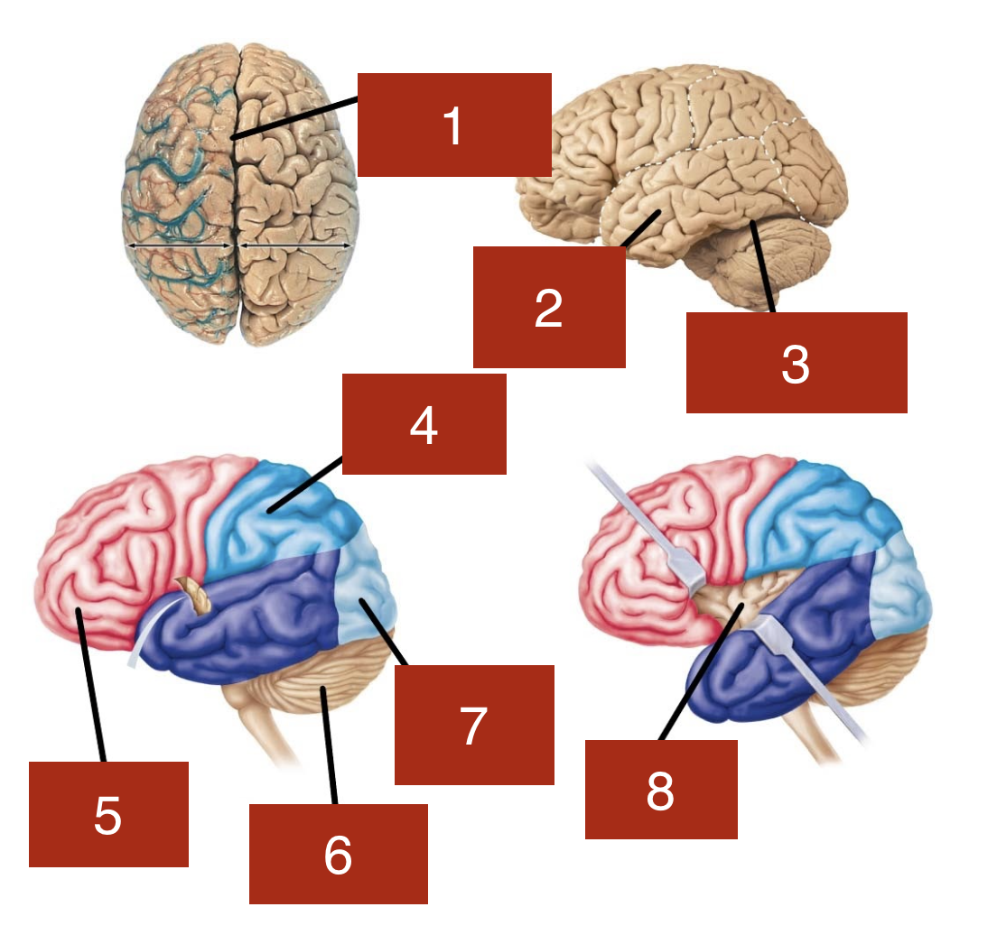 <p>6</p>