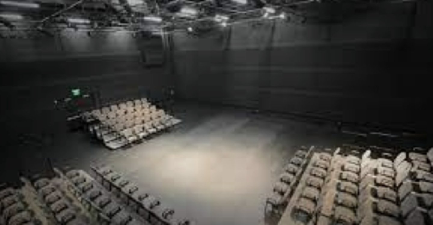 <p>- VERSATILE: Can place any type of stage within it </p><p>- The audience can be placed anywhere </p><p>- Painted all black so that focus is on the performance </p><p>- Often used in schools for classrooms as well as performance spaces </p><p>- Most theater studios and college theater departments have one or more. </p><p>- Rutgers’ Levin Theater is a blackbox theater.</p>
