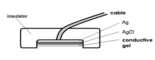 <ul><li><p>Generate a constant contact voltage, providing a measurable and consistent bias</p></li><li><p>Suitable for accurate measurements as the bias can be accounted for</p></li><li><p><strong>Ag-AgCl electrode</strong> is used</p></li></ul><p></p>