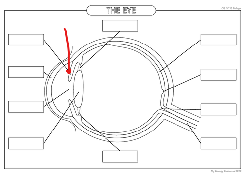 <p>What is the part in the diagram called?</p>