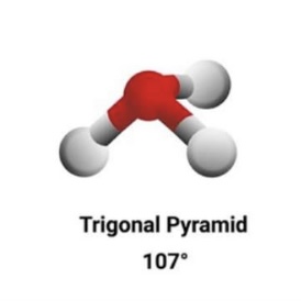 <p>Trigonal Pyramid • 107°</p>