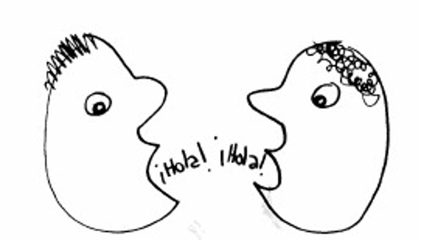 <p>to respond/answer</p>
