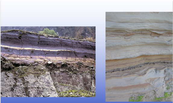 <ul><li><p>peat layers</p></li></ul><p></p>