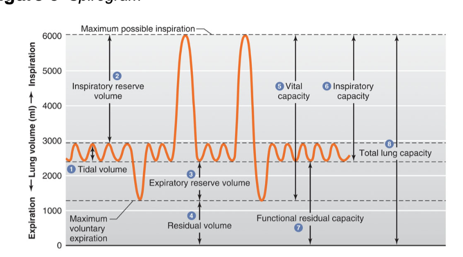 <p>volume of air remaining in the lungs after a normal exhalation </p><p> expiratory reserve vol + residual volume</p>