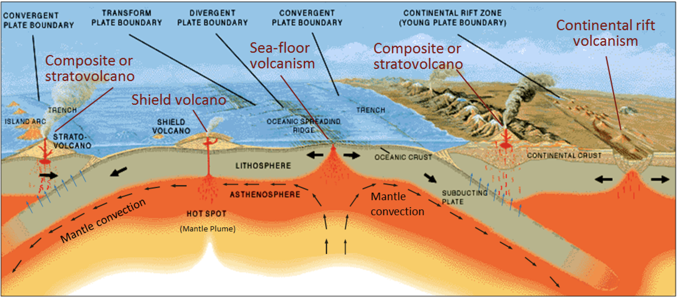 <p>The sum of the processes that build up and breakdown the lithosphere. </p>