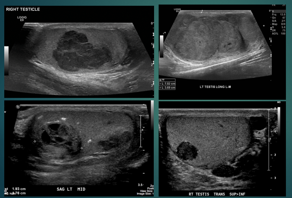 <p>what does the image show </p>