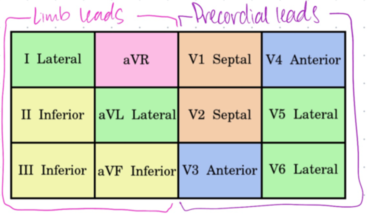 <p>I and aVL</p><p>Have positive electrode positioned laterally left arm.</p><p>**LAteral leads, Left Arm**</p>
