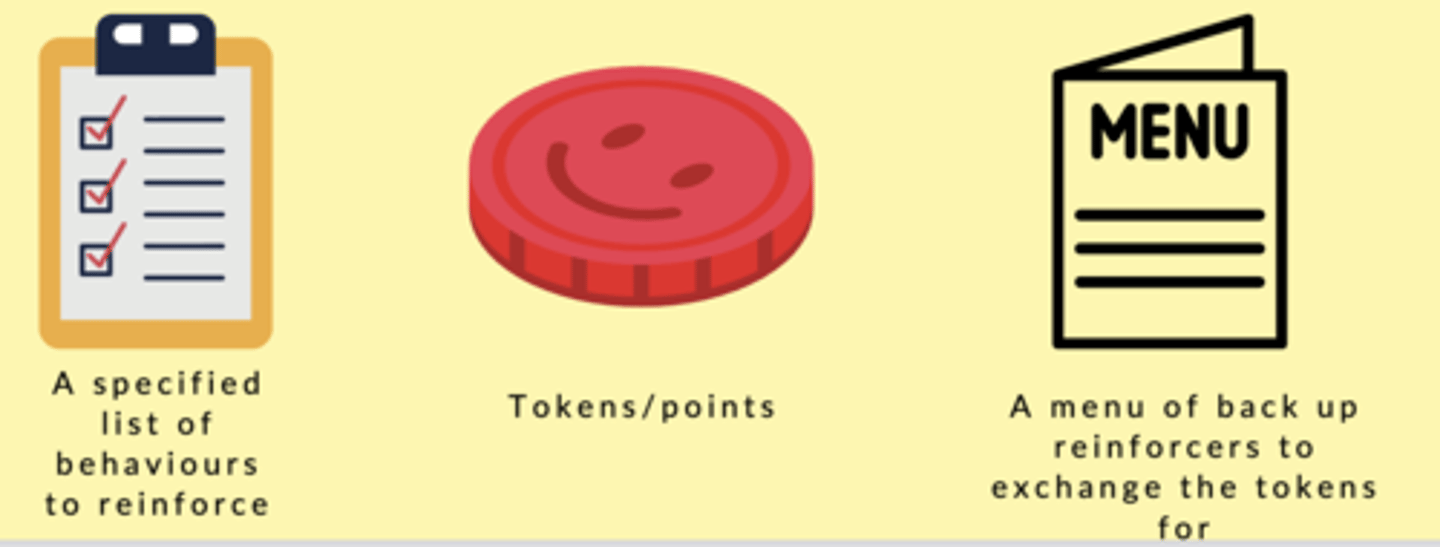 <p>A token economy is a behaviour change system with three major components:</p><p>- A specified list of behaviours to reinforce</p><p>- Token/points (an intermediate reinforcer that provides a visual!)</p><p>- A menu of back up reinforces to exchange for he token</p>
