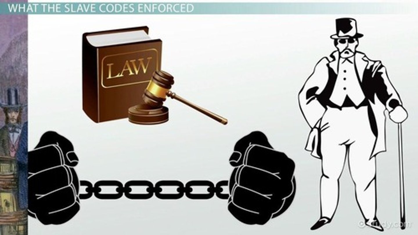 <p>The slave codes were laws relating to slavery and enslaved people.</p>