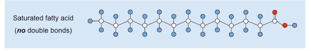 <p>CHO, no double bonds</p>