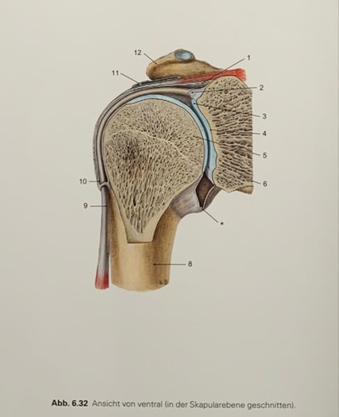 <p>11</p>