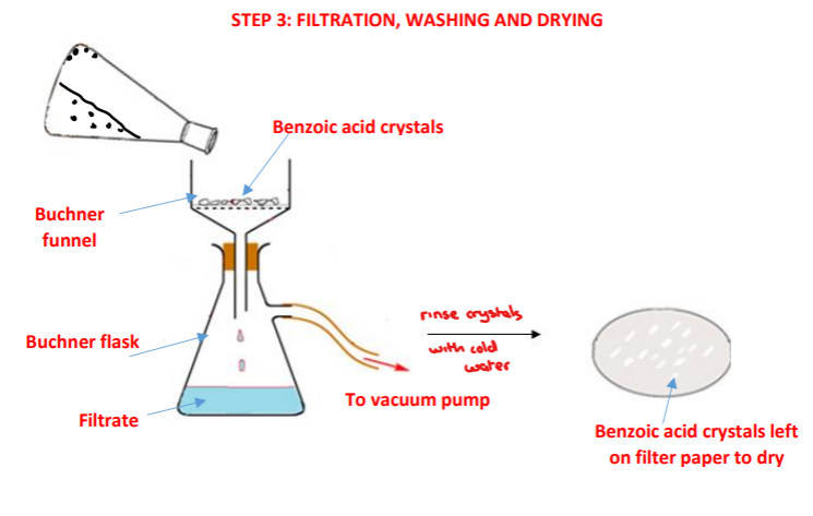 <p>➢ The benzoic acid crystals are <strong>filtered using vacuum/suction filtration</strong> using filter paper, a Buchner funnel and a Buncher flask</p><p>➢ The conical flask is <strong>rinsed with the filtrate</strong> from the Buchner flask and is <strong>re-filtered</strong> to ensure maximum yield of benzoic acid crystals are obtained</p><p>➢ The benzoic acid crystals are <strong>washed with cold water remove any soluble impurities</strong> present on the filter paper or on the crystals</p><p>➢ The benzoic acid crystals are <strong>left to air dry on the filter paper</strong> in a warm place or in a desiccator</p>