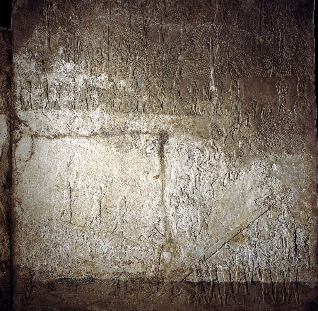 term image