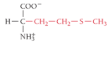 <p>What is the name of the amino acid?</p>