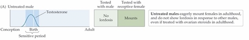 <p>OAH — W.C. Young’s famous experiments in 1950s</p>