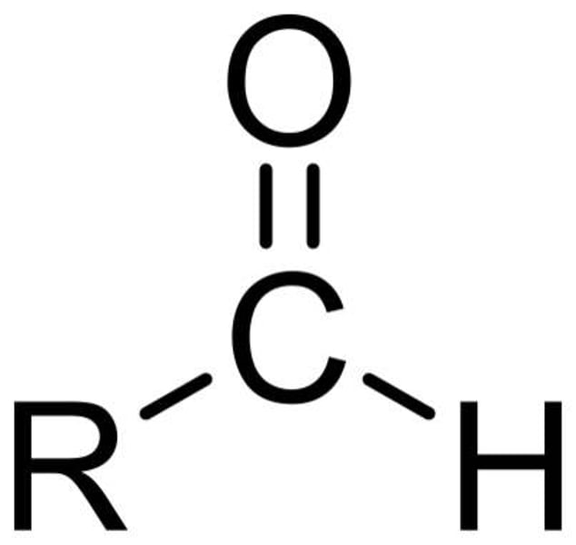 <p>An organic molecule with a carbonyl group located at the end of the carbon skeleton.</p>