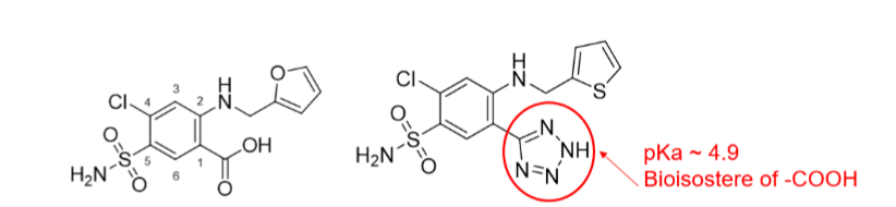 <p>Bioisostere</p>