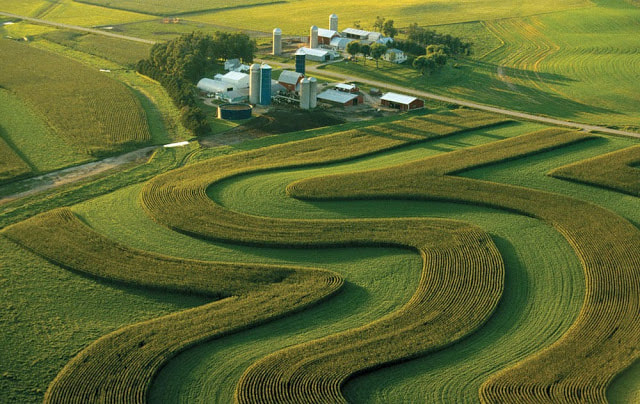 <p>Plowing & harvesting are parallel to the topographic contours of the land</p><ul><li><p>Prevents erosion</p></li></ul>